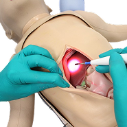 Surgical and Procedural Training Mannequins