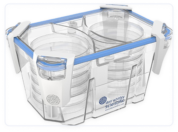 Whitley Incubation Box