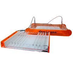 Electrophoresis
