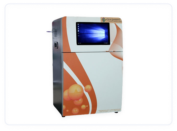 Gel Documentation and Analysis Systems