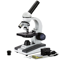 Microscope