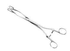 Ovum Forceps