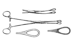 Sponge forcep